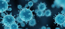 Corona virus 2019-ncov. Source: © CREATIVE WONDER stock.adobe.com