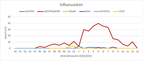 Abb. 8: Nachweis von Influenzaviren von KW40 2023 bis jetzt (SARI-Sentinel). Quelle: RKI