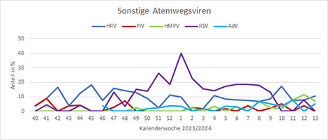 Abb. 9: Nachweise von Rhinoviren (HRV), Parainfluenzaviren (PIV), Humanen Metapneumoviren (HMPV) und Respiratorischen Synzytialviren (RSV) von KW40 2023 bis jetzt (SARI-Sentinel). Quelle: RKI